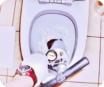 desentupimento de vaso sanitário em Caieiras